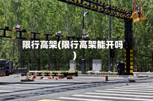 限行高架(限行高架能开吗)