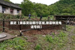 最近【徽县货运限行区域,徽县物流电话号码】