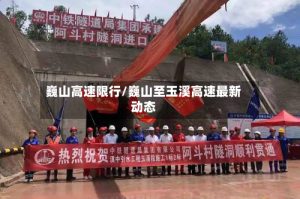 巍山高速限行/巍山至玉溪高速最新动态