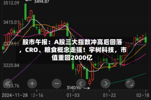 股市午报：A股三大指数冲高后回落，CRO、粮食概念走强！宇树科技，市值重回2000亿