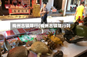 梅州古镇限行(梅州古镇限行吗)