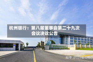 杭州银行：第八届董事会第二十九次会议决议公告