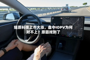 燧原科技上市大涨，盘中IOPV为何对不上？原因找到了
