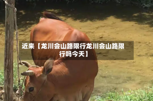 近来【龙川会山路限行龙川会山路限行吗今天】