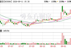 先达股份：公司将于9月21日召开2026年半年度业绩说明会