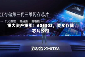 重大资产重组！605303，要买存储芯片公司