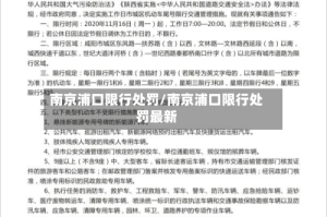 南京浦口限行处罚/南京浦口限行处罚最新