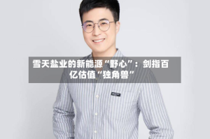 雪天盐业的新能源“野心”：剑指百亿估值“独角兽”