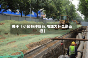关于【小区各种限行,电线为什么是两根】