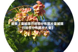 近来【栾城限行拍照分布图片栾城限行拍照分布图片大全】