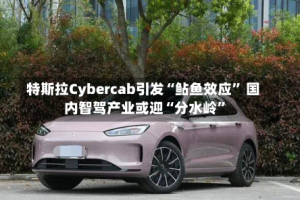 特斯拉Cybercab引发“鲇鱼效应” 国内智驾产业或迎“分水岭”