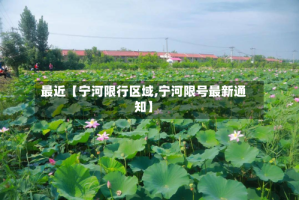 最近【宁河限行区域,宁河限号最新通知】