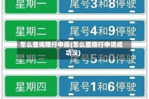 怎么查询限行申报(怎么查限行申请成功没)