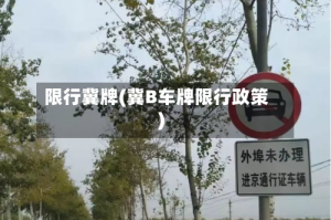 限行冀牌(冀B车牌限行政策)