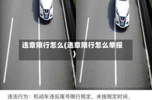 违章限行怎么(违章限行怎么举报)