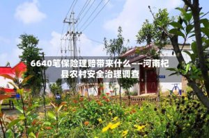 6640笔保险理赔带来什么——河南杞县农村安全治理调查