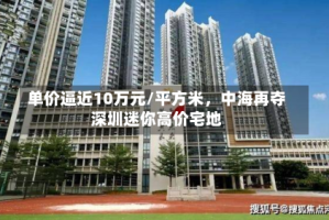 单价逼近10万元/平方米，中海再夺深圳迷你高价宅地