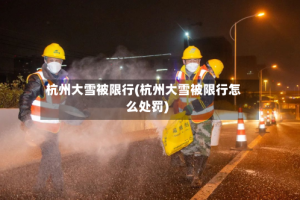 杭州大雪被限行(杭州大雪被限行怎么处罚)