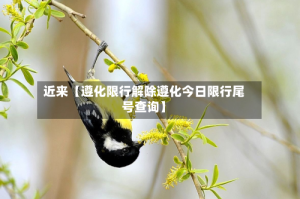 近来【遵化限行解除遵化今日限行尾号查询】