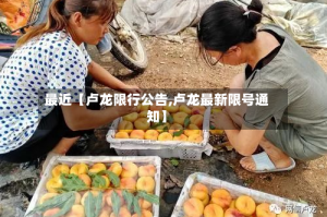 最近【卢龙限行公告,卢龙最新限号通知】
