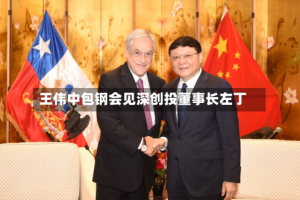 王伟中包钢会见深创投董事长左丁