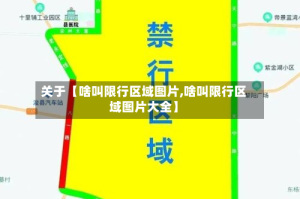 关于【啥叫限行区域图片,啥叫限行区域图片大全】