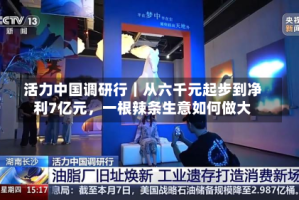 活力中国调研行｜从六千元起步到净利7亿元，一根辣条生意如何做大
