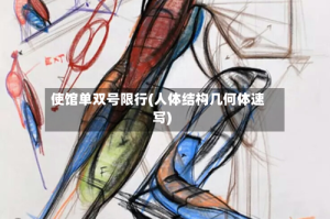使馆单双号限行(人体结构几何体速写)