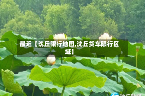 最近【沈丘限行地图,沈丘货车限行区域】