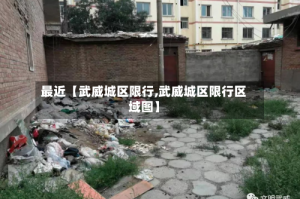 最近【武威城区限行,武威城区限行区域图】