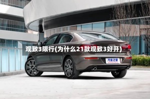 观致3限行(为什么21款观致3好开)