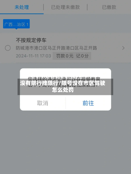 没有限行牌限行/限号没在市区驾驶怎么处罚-第1张图片