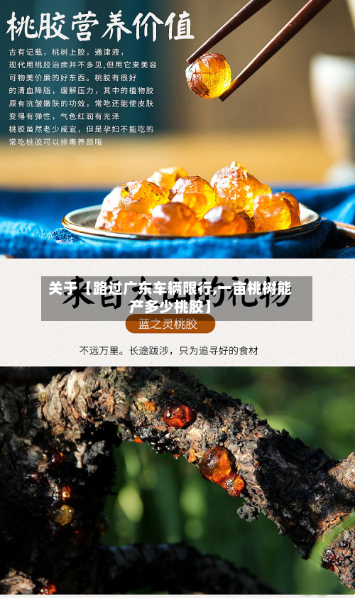 关于【路过广东车辆限行,一亩桃树能产多少桃胶】-第2张图片