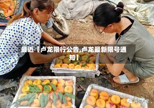 最近【卢龙限行公告,卢龙最新限号通知】-第1张图片