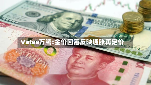 Vatee万腾:金价回落反映通胀再定价-第2张图片
