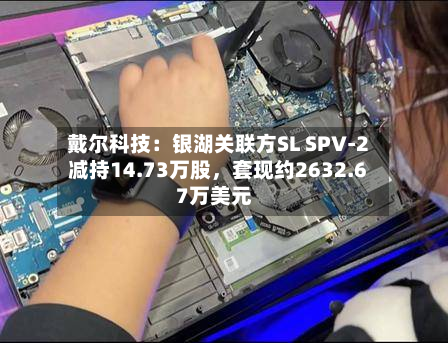 戴尔科技：银湖关联方SL SPV-2减持14.73万股，套现约2632.67万美元-第1张图片