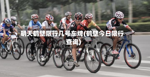 明天鹤壁限行几号车牌(鹤壁今日限行查询)-第2张图片