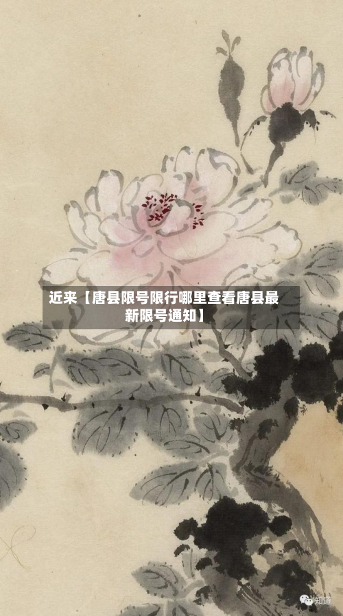 近来【唐县限号限行哪里查看唐县最新限号通知】-第3张图片
