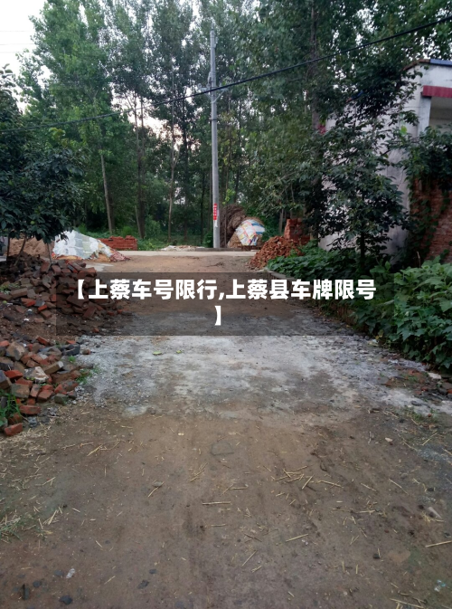 【上蔡车号限行,上蔡县车牌限号】-第2张图片