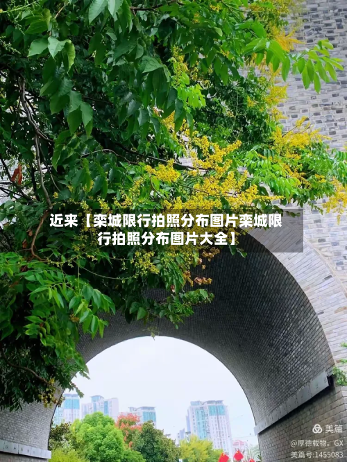近来【栾城限行拍照分布图片栾城限行拍照分布图片大全】-第3张图片
