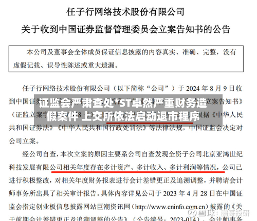 证监会严肃查处*ST卓然严重财务造假案件 上交所依法启动退市程序-第1张图片