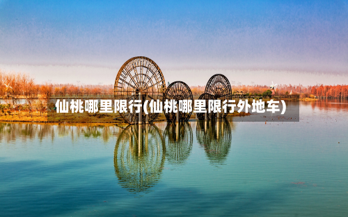 仙桃哪里限行(仙桃哪里限行外地车)-第1张图片