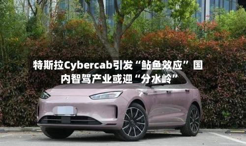 特斯拉Cybercab引发“鲇鱼效应” 国内智驾产业或迎“分水岭	”-第1张图片