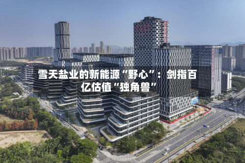 雪天盐业的新能源“野心	”：剑指百亿估值“独角兽”-第2张图片