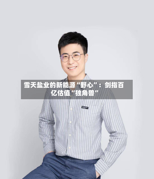 雪天盐业的新能源“野心	”：剑指百亿估值“独角兽”-第1张图片