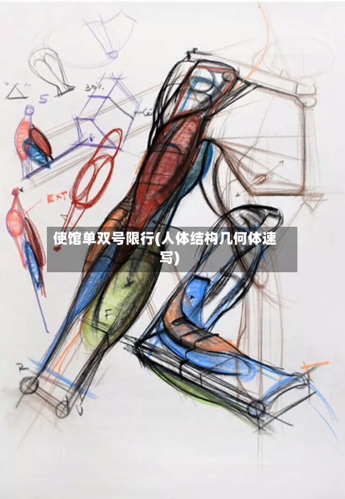使馆单双号限行(人体结构几何体速写)-第1张图片