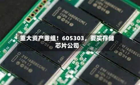 重大资产重组！605303，要买存储芯片公司-第3张图片