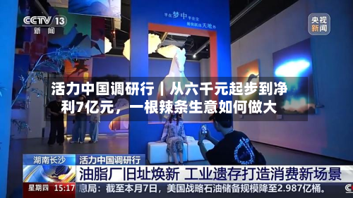 活力中国调研行｜从六千元起步到净利7亿元，一根辣条生意如何做大-第1张图片