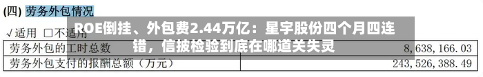 ROE倒挂	、外包费2.44万亿：星宇股份四个月四连错，信披检验到底在哪道关失灵-第2张图片