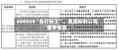 600929“急打补丁	”	，重组标的公司董事被查-第1张图片